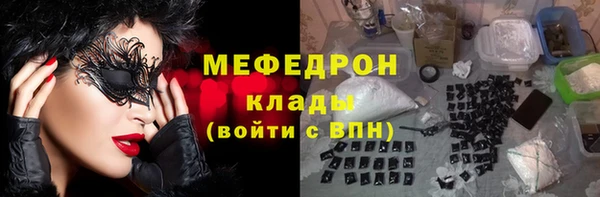 индика Алексин