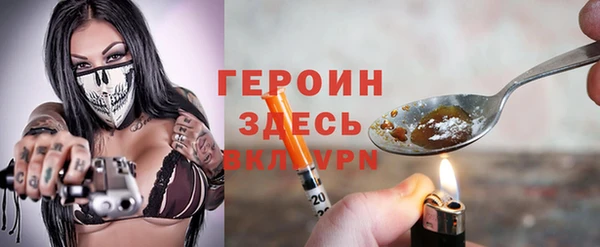 индика Алексин
