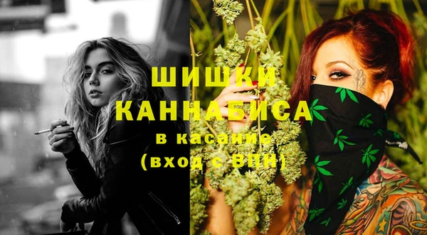 хмурый Абаза