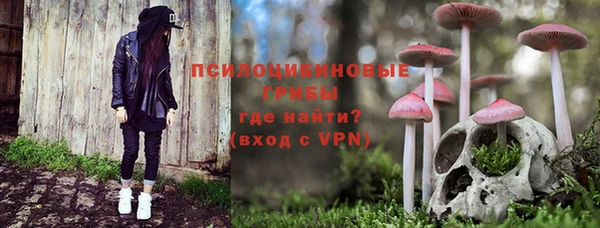трава Осинники