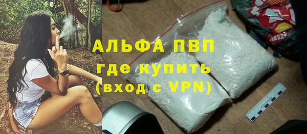 индика Алексин
