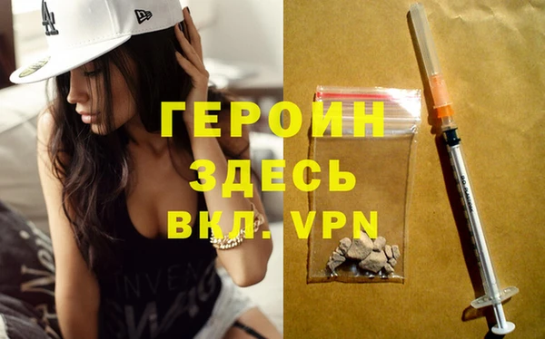 индика Алексин