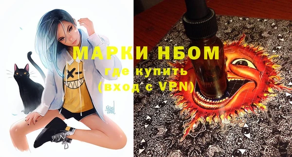 индика Алексин