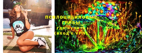 индика Алексин