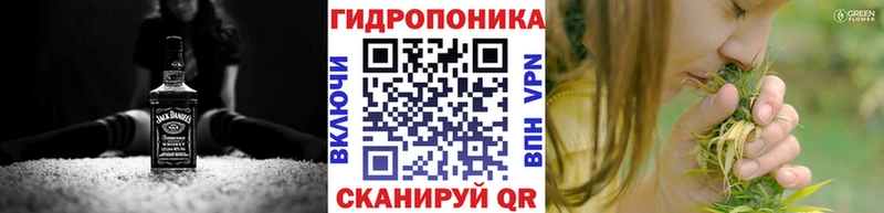 наркота  Нерехта  Бошки марихуана Amnesia 